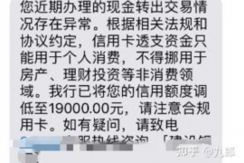 网络贷款逾期催收:揭秘行业现状与应对策略 网络贷款逾期催收:揭秘行业现状与应对策略