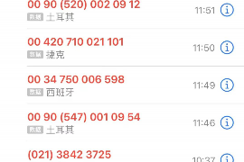 网贷催收提起诉讼:了解你的权利与应对策略 网贷催收提起诉讼:了解你的权利与应对策略