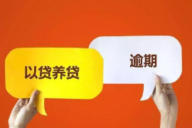 镇海要钱公司排名：揭秘镇海地区金融实力派