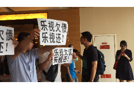 金星为沈南讨债:揭秘娱乐圈的债务危机 金星为沈南讨债:揭秘娱乐圈的债务危机